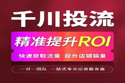 案例对比：SEM推广代运营效果评估